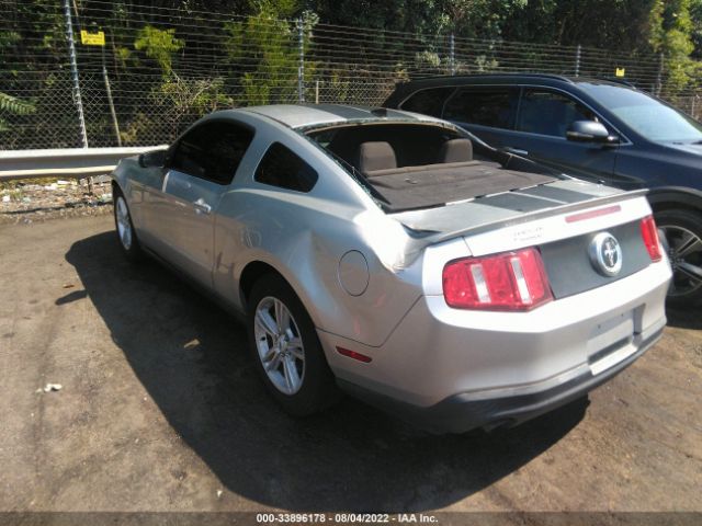 Photo 2 VIN: 1ZVBP8AM1B5131087 - FORD MUSTANG 