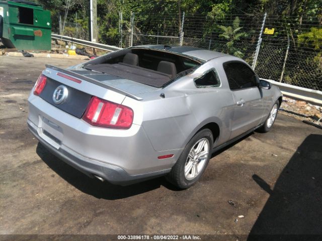 Photo 3 VIN: 1ZVBP8AM1B5131087 - FORD MUSTANG 