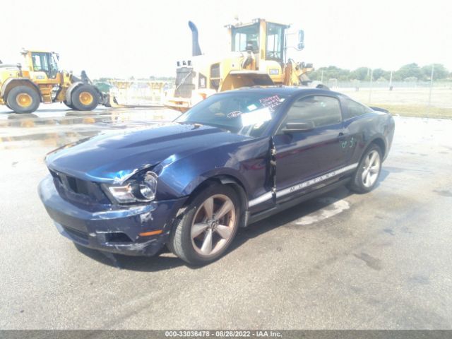 Photo 1 VIN: 1ZVBP8AM1B5136449 - FORD MUSTANG 