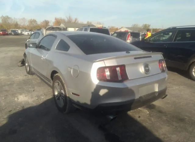 Photo 2 VIN: 1ZVBP8AM1B5141425 - FORD MUSTANG 