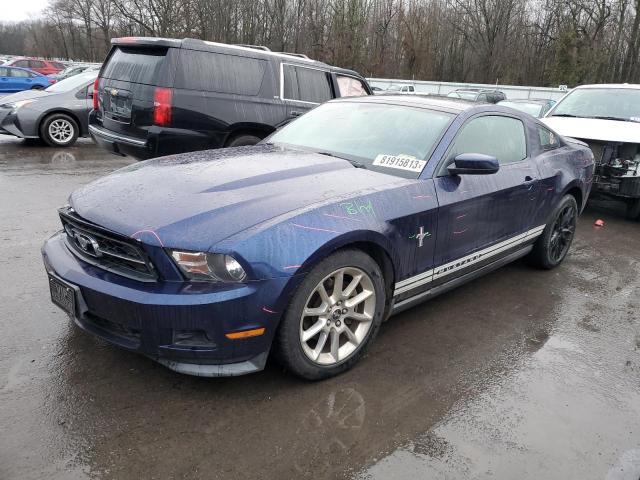 Photo 0 VIN: 1ZVBP8AM1B5147306 - FORD MUSTANG 