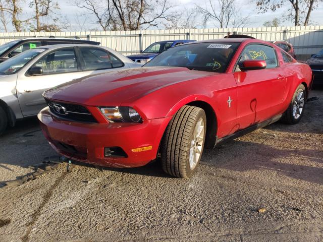 Photo 1 VIN: 1ZVBP8AM1B5149475 - FORD MUSTANG 