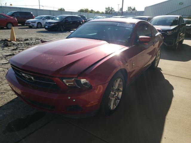 Photo 1 VIN: 1ZVBP8AM1B5151713 - FORD MUSTANG 