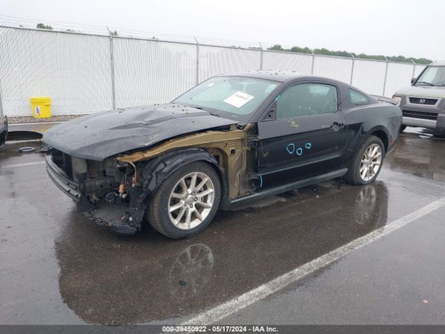 Photo 1 VIN: 1ZVBP8AM1B5162548 - FORD MUSTANG 