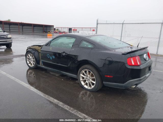 Photo 2 VIN: 1ZVBP8AM1B5162548 - FORD MUSTANG 