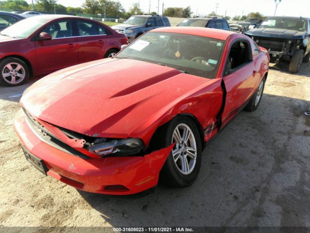 Photo 1 VIN: 1ZVBP8AM1B5165188 - FORD MUSTANG 