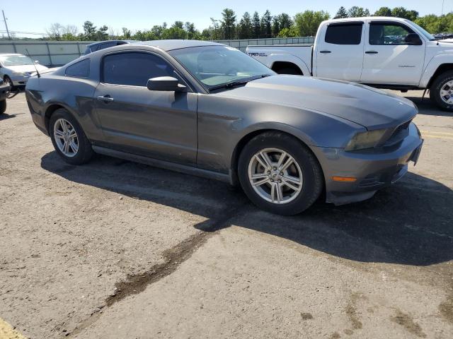 Photo 3 VIN: 1ZVBP8AM1B5166969 - FORD MUSTANG 