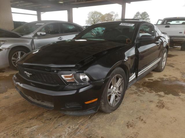 Photo 1 VIN: 1ZVBP8AM1B5167264 - FORD MUSTANG 