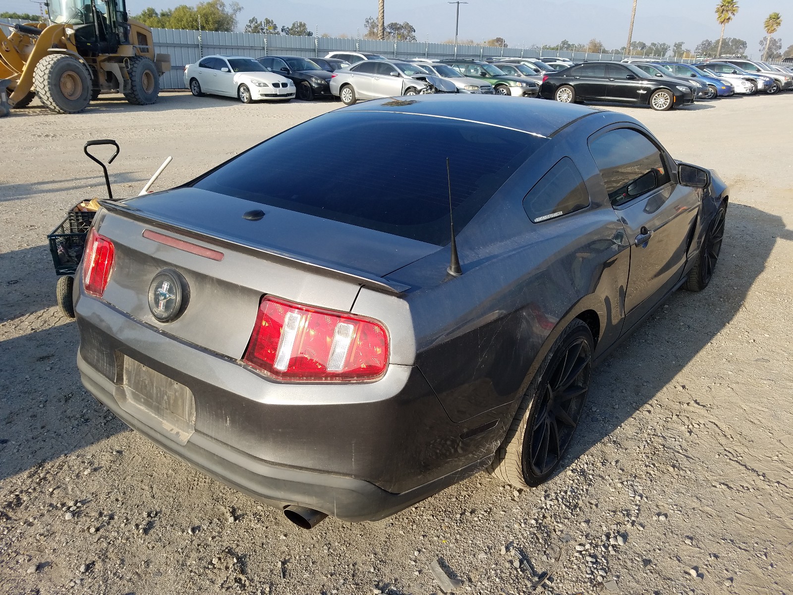 Photo 3 VIN: 1ZVBP8AM1B5169872 - FORD MUSTANG 