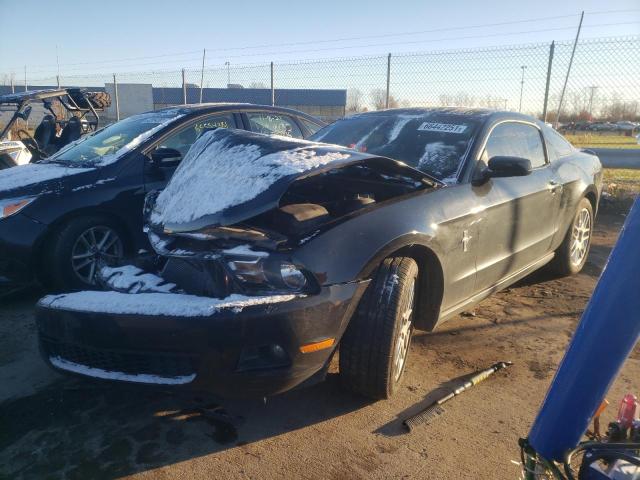 Photo 1 VIN: 1ZVBP8AM1C5202483 - FORD MUSTANG 