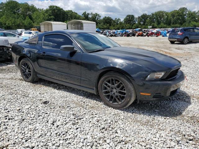 Photo 3 VIN: 1ZVBP8AM1C5211538 - FORD MUSTANG 