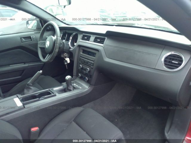 Photo 4 VIN: 1ZVBP8AM1C5221468 - FORD MUSTANG 