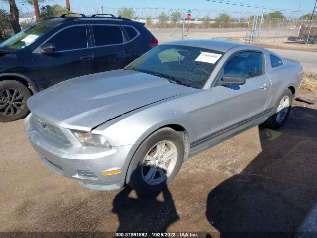 Photo 1 VIN: 1ZVBP8AM1C5222037 - FORD MUSTANG 