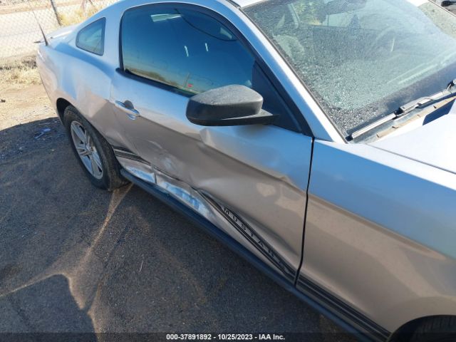 Photo 5 VIN: 1ZVBP8AM1C5222037 - FORD MUSTANG 