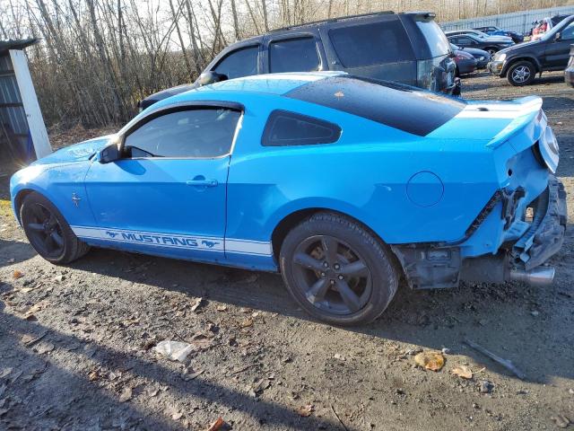 Photo 1 VIN: 1ZVBP8AM1C5224838 - FORD MUSTANG 