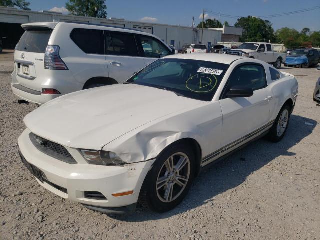 Photo 1 VIN: 1ZVBP8AM1C5229571 - FORD MUSTANG 