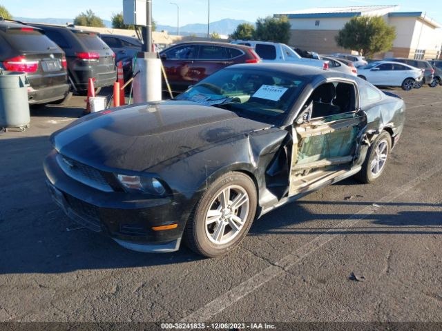 Photo 1 VIN: 1ZVBP8AM1C5230266 - FORD MUSTANG 