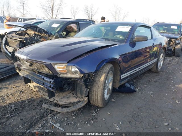 Photo 1 VIN: 1ZVBP8AM1C5244975 - FORD MUSTANG 