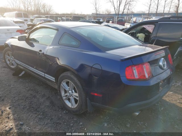 Photo 2 VIN: 1ZVBP8AM1C5244975 - FORD MUSTANG 