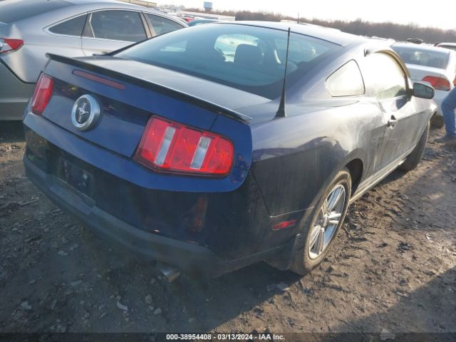 Photo 3 VIN: 1ZVBP8AM1C5244975 - FORD MUSTANG 