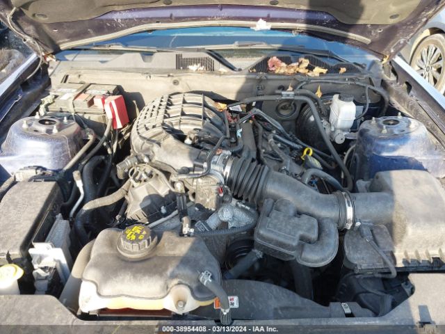 Photo 9 VIN: 1ZVBP8AM1C5244975 - FORD MUSTANG 