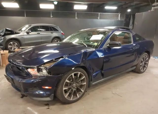 Photo 5 VIN: 1ZVBP8AM1C5248136 - FORD MUSTANG 