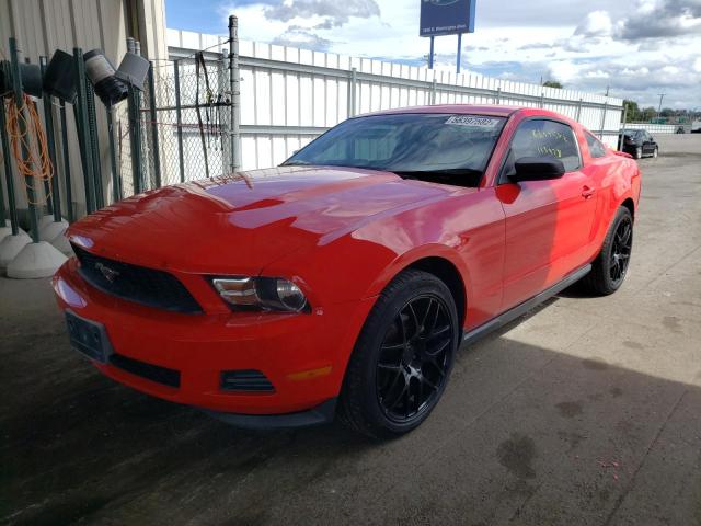 Photo 1 VIN: 1ZVBP8AM1C5253448 - FORD MUSTANG 