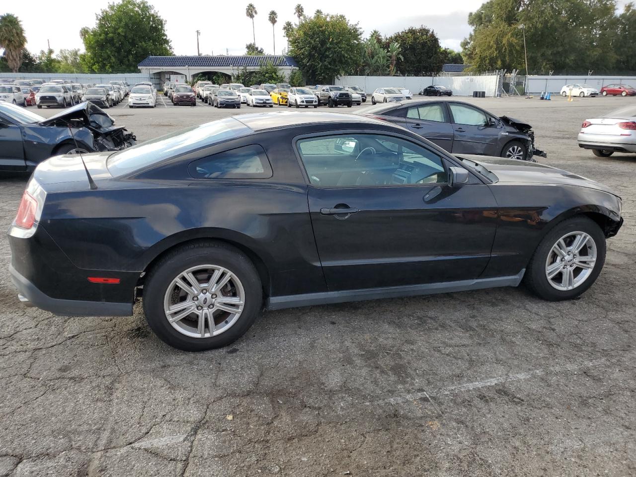 Photo 2 VIN: 1ZVBP8AM1C5256690 - FORD MUSTANG 