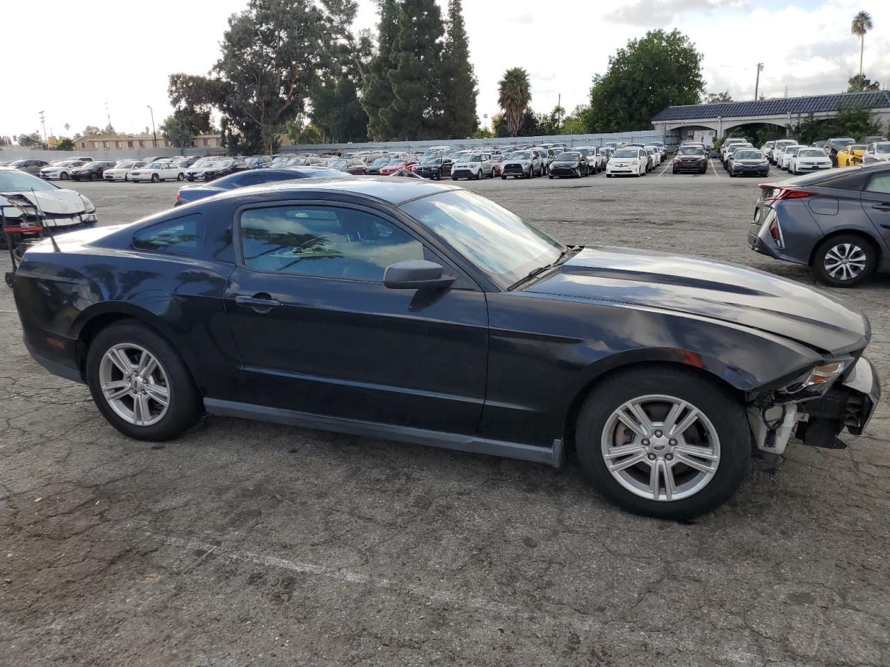 Photo 3 VIN: 1ZVBP8AM1C5256690 - FORD MUSTANG 