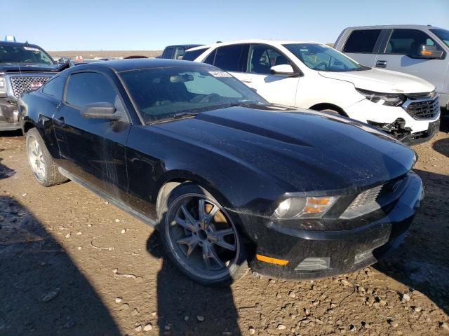 Photo 3 VIN: 1ZVBP8AM1C5260657 - FORD MUSTANG 