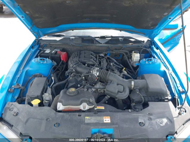 Photo 9 VIN: 1ZVBP8AM1C5269620 - FORD MUSTANG 