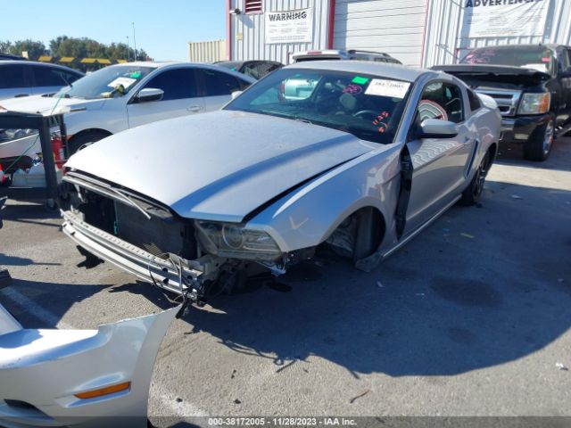 Photo 5 VIN: 1ZVBP8AM1D5203439 - FORD MUSTANG 