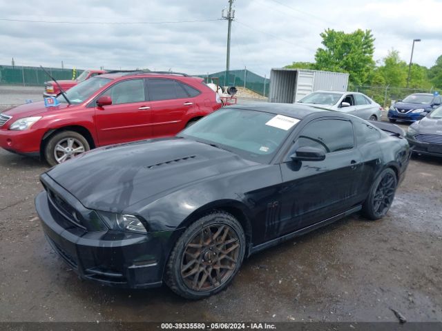 Photo 1 VIN: 1ZVBP8AM1D5225800 - FORD MUSTANG 