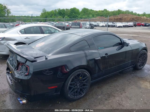 Photo 3 VIN: 1ZVBP8AM1D5225800 - FORD MUSTANG 