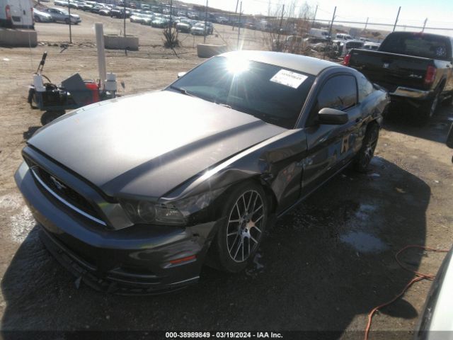 Photo 1 VIN: 1ZVBP8AM1D5241768 - FORD MUSTANG 