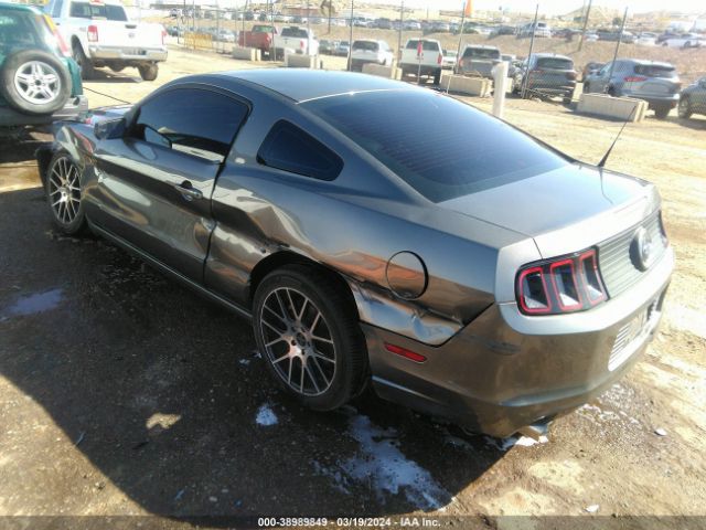 Photo 2 VIN: 1ZVBP8AM1D5241768 - FORD MUSTANG 