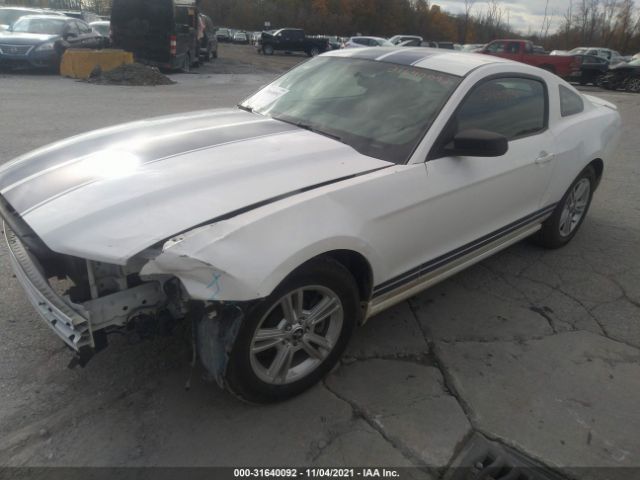 Photo 1 VIN: 1ZVBP8AM1D5241799 - FORD MUSTANG 