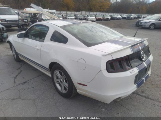 Photo 2 VIN: 1ZVBP8AM1D5241799 - FORD MUSTANG 