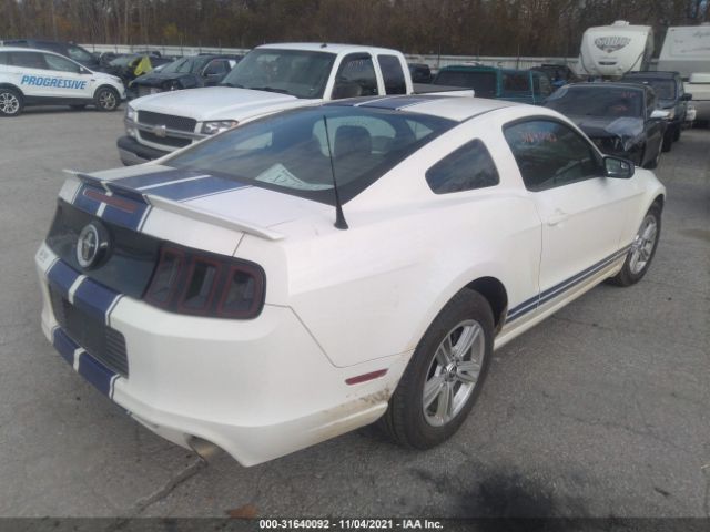 Photo 3 VIN: 1ZVBP8AM1D5241799 - FORD MUSTANG 