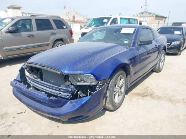 Photo 1 VIN: 1ZVBP8AM1D5247831 - FORD MUSTANG 