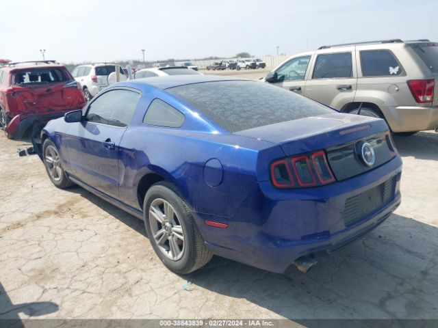 Photo 2 VIN: 1ZVBP8AM1D5247831 - FORD MUSTANG 