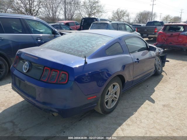 Photo 3 VIN: 1ZVBP8AM1D5247831 - FORD MUSTANG 