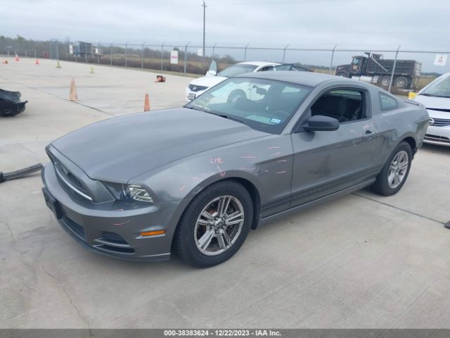 Photo 1 VIN: 1ZVBP8AM1D5252673 - FORD MUSTANG 