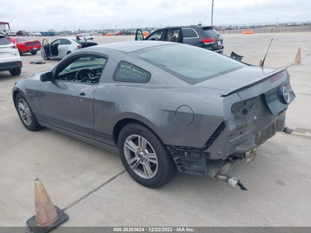 Photo 2 VIN: 1ZVBP8AM1D5252673 - FORD MUSTANG 