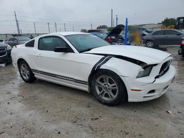 Photo 3 VIN: 1ZVBP8AM1D5259283 - FORD MUSTANG 