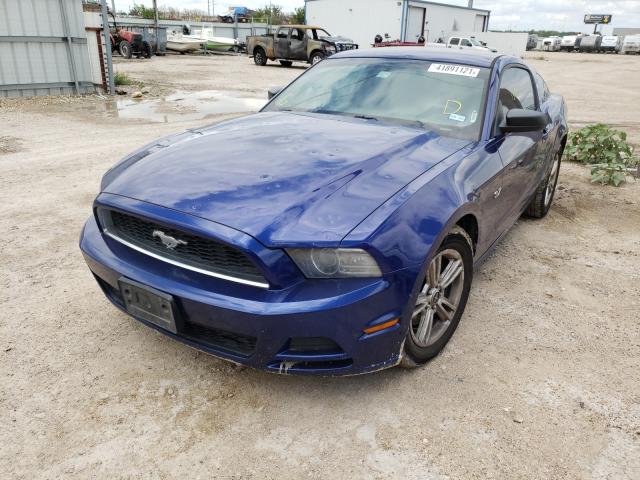 Photo 1 VIN: 1ZVBP8AM1D5265780 - FORD MUSTANG 