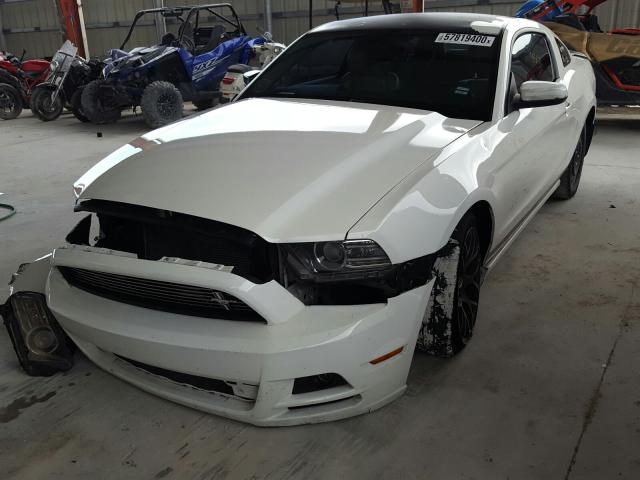 Photo 1 VIN: 1ZVBP8AM1D5268517 - FORD MUSTANG 