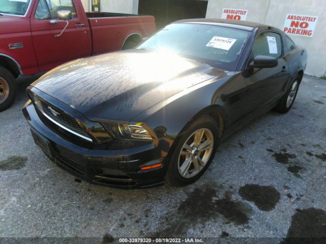 Photo 1 VIN: 1ZVBP8AM1D5276004 - FORD MUSTANG 