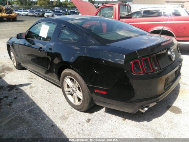 Photo 2 VIN: 1ZVBP8AM1D5276004 - FORD MUSTANG 