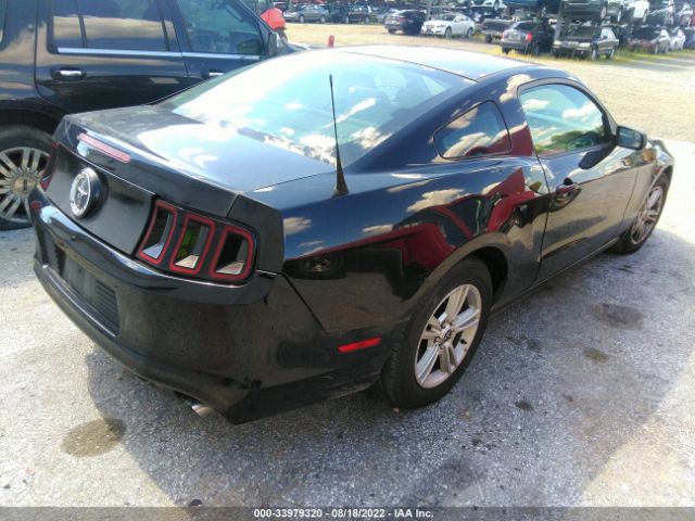 Photo 3 VIN: 1ZVBP8AM1D5276004 - FORD MUSTANG 